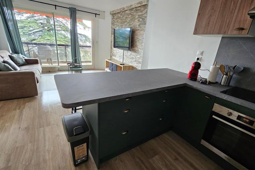 Le Duc Apartment Thonon-les-Bains Exterior foto